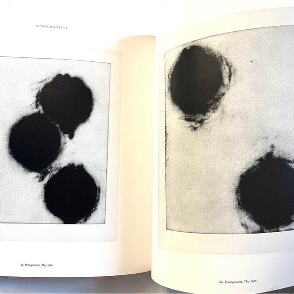 Donald Sultan: A Print Restrospectove. 95 pages. 10 x 10 inches. A beauty! - Picture 3 of 12